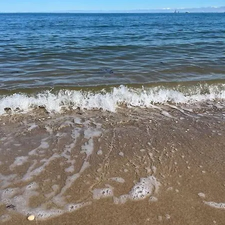 Hausboot Fritz Im Wangermeer Botel
